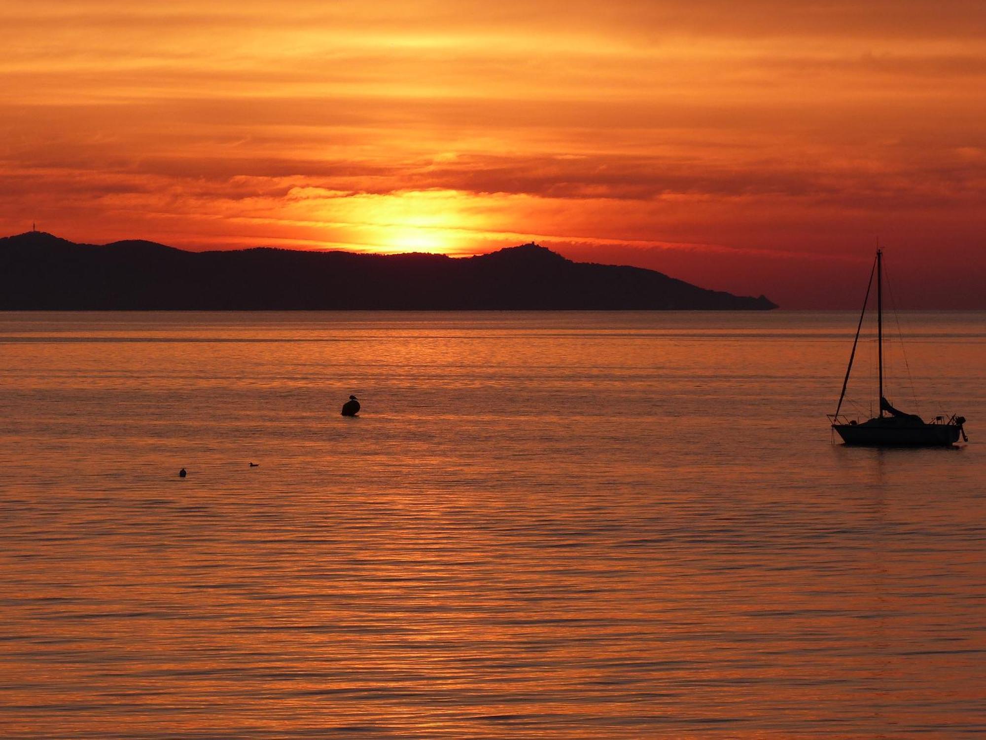Le Surplage * Hyères